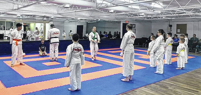 
			
				                                Students line up during a karate class at Professional Karate Schools of America.
                                 Photos courtesy of Beth Deese

			
		