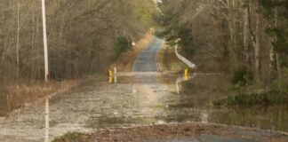 
			
				                                Grassy Island Road, County Road 1634 east bound to Lilesville
                                 Photos courtesy of Kirby Photo Suite 

			
		